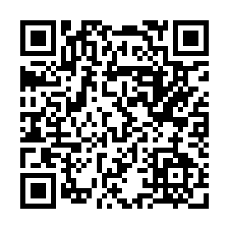 QR code for 313IU