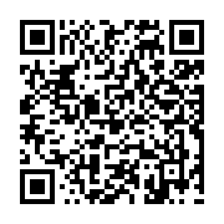 QR code for 313K