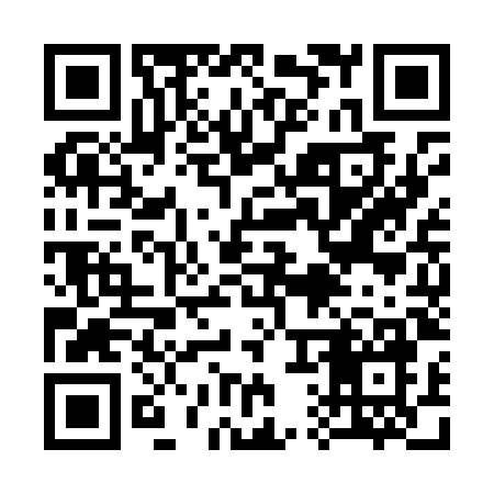 QR code for 313L