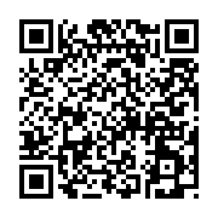 QR code for 313MJ