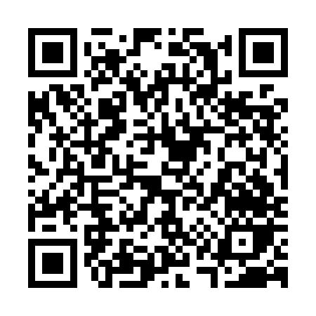 QR code for 313MN