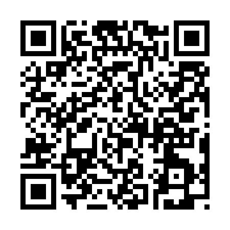 QR code for 313MS
