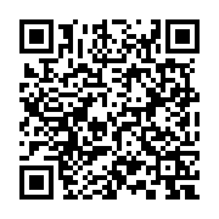 QR code for 313N