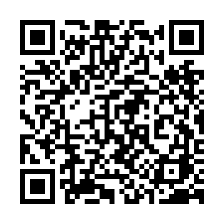 QR code for 313NFA