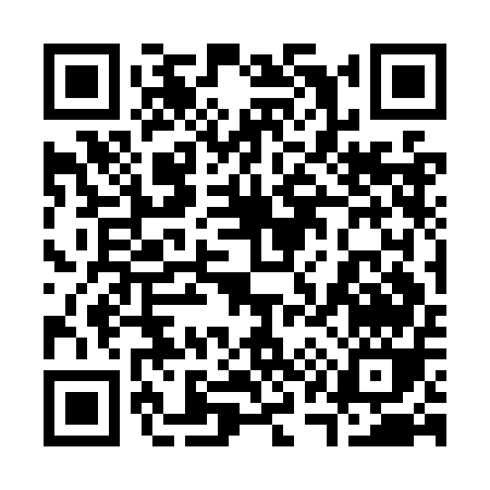 QR code for 313OE