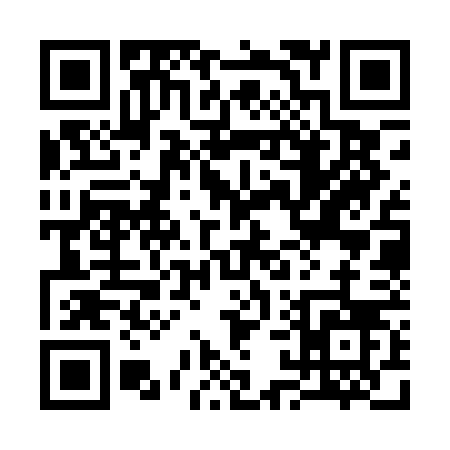 QR code for 313PF