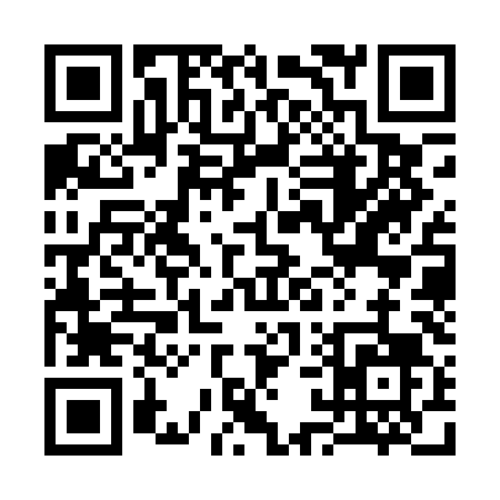 QR code for 313PL