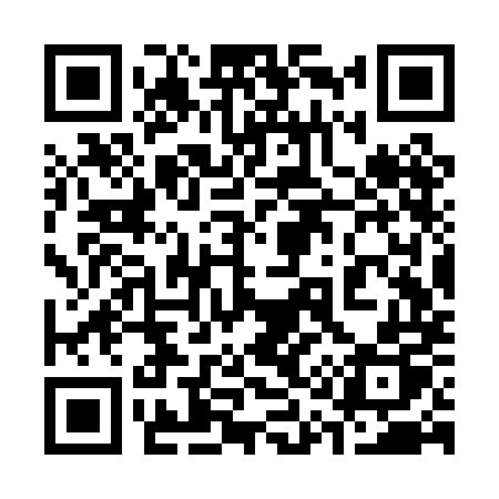 QR code for 313PMP