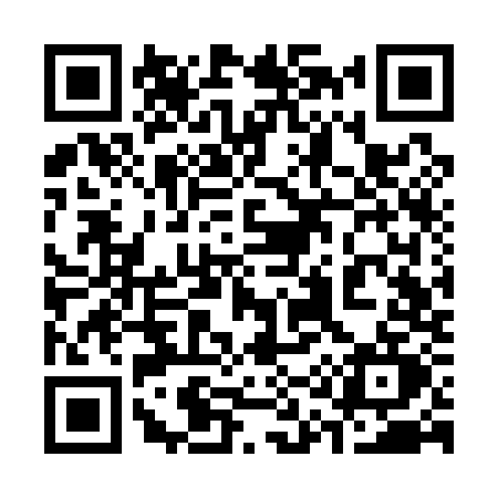 QR code for 313Q