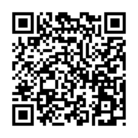 QR code for 313QT