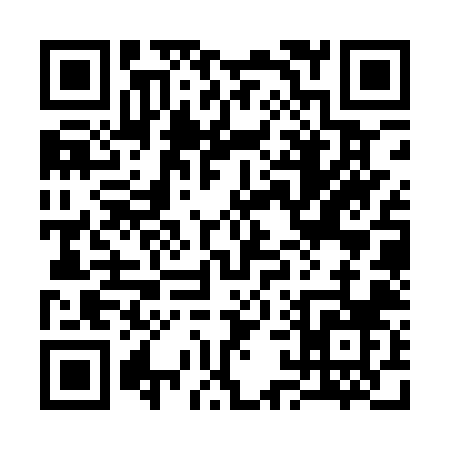 QR code for 313QZ