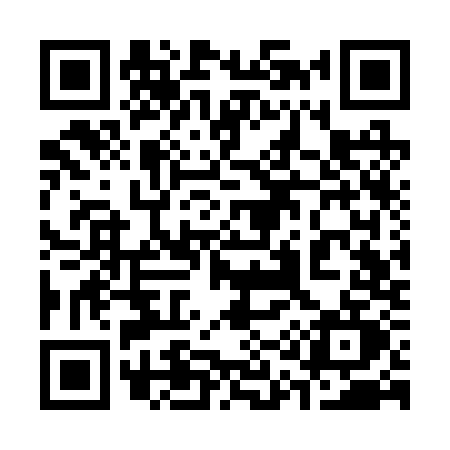 QR code for 313R