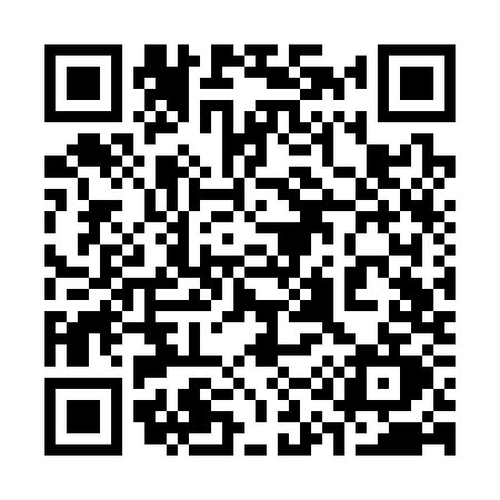QR code for 313S