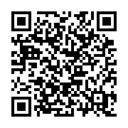 QR code for 313SBD