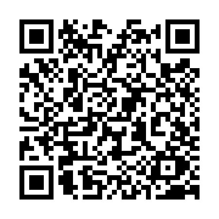 QR code for 313T