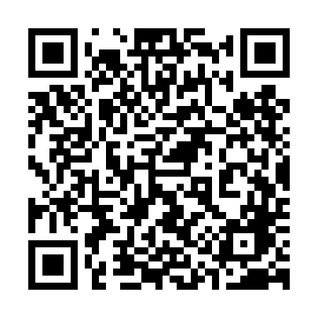QR code for 313TDG