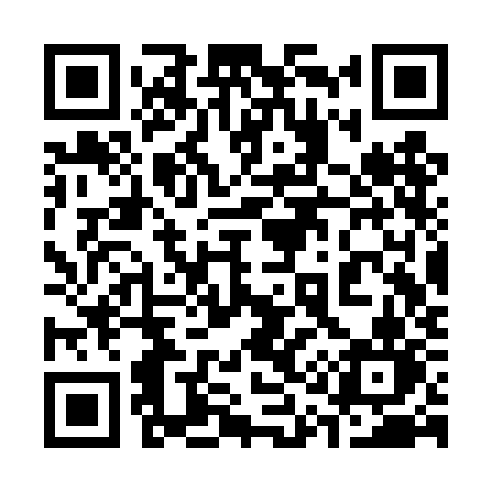 QR code for 313TKN