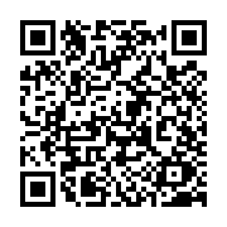 QR code for 313U