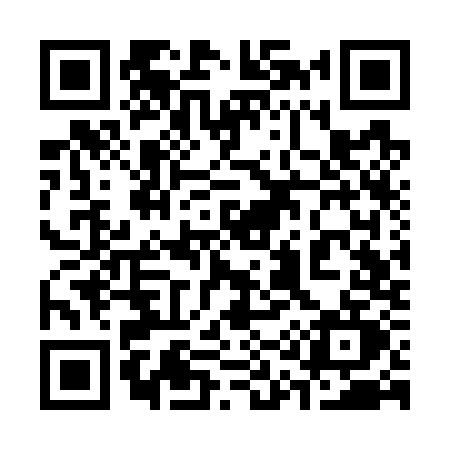 QR code for 313W