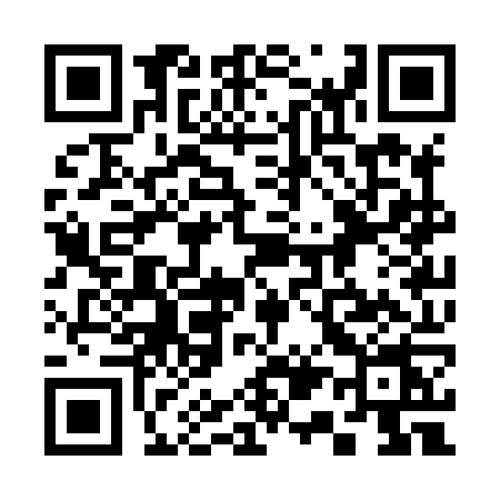 QR code for 313X