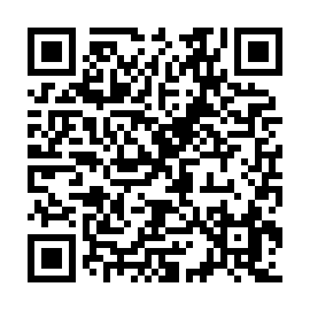 QR code for 313XC