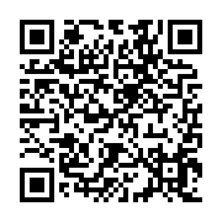 QR code for 313XQ