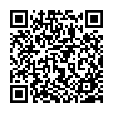 QR code for 313XYG