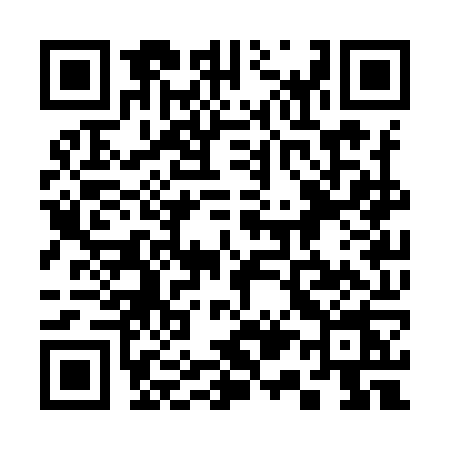 QR code for 313Y