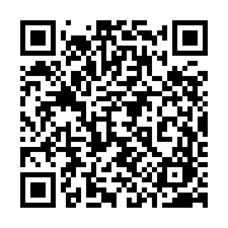 QR code for 313YFO