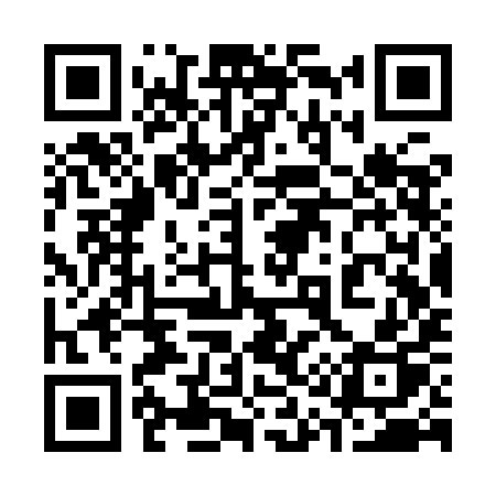 QR code for 313YIP