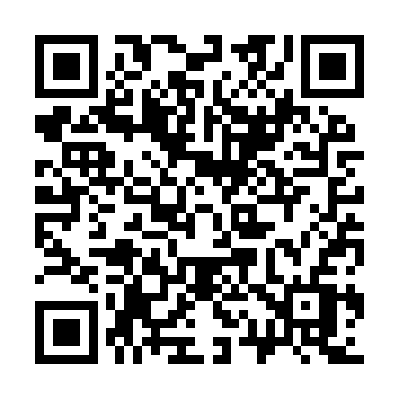 QR code for 313YSV