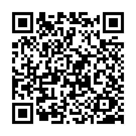 QR code for 313Z