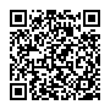 QR code for 313ZEL