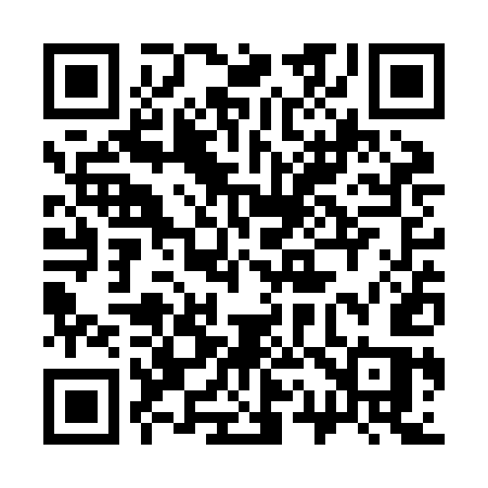 QR code for 313ZES