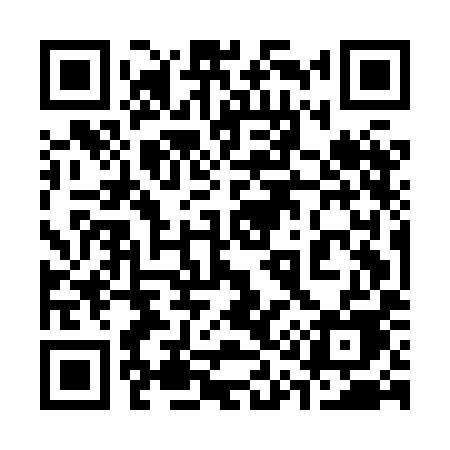QR code for 315HIE