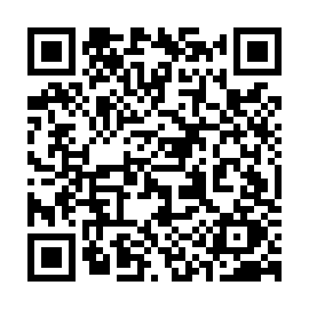 QR code for 315L