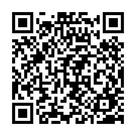QR code for 315PID