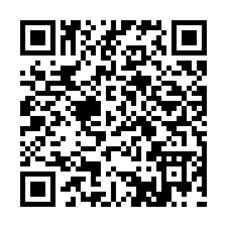 QR code for 315SM