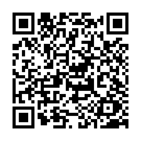 QR code for 316O