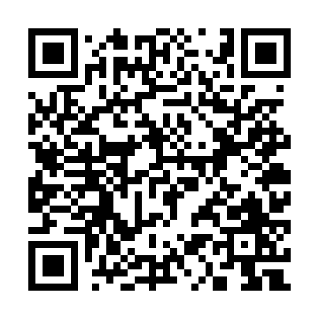QR code for 317PZ