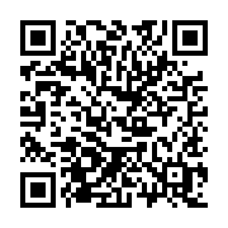 QR code for 319DID