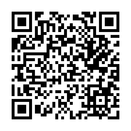 QR code for 319DX