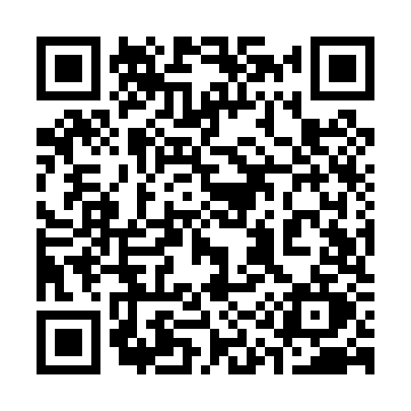 QR code for 319P