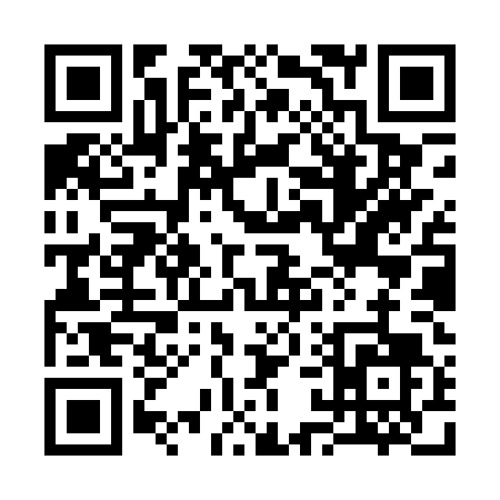 QR code for 319PT