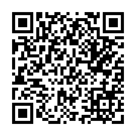 QR code for 333BR