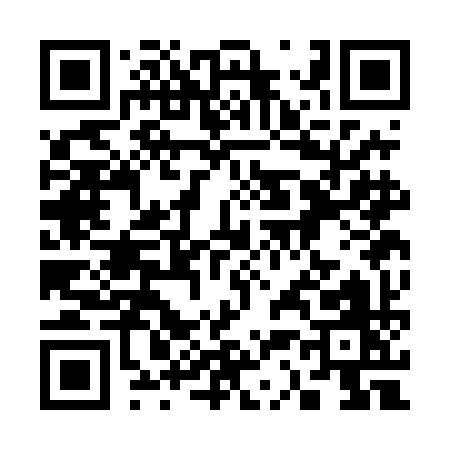 QR code for 333DI