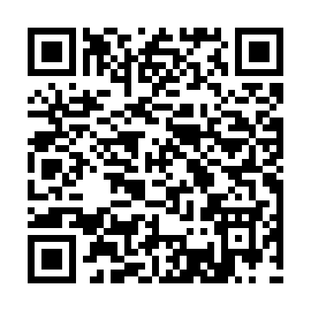 QR code for 333GS