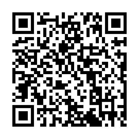QR code for 333IN