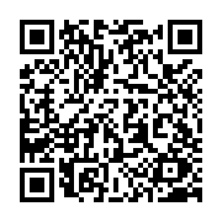QR code for 333M