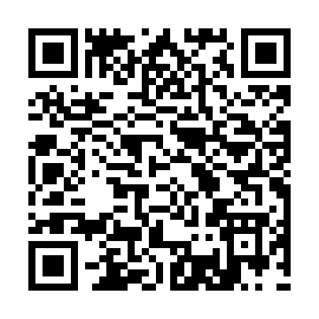 QR code for 333MG